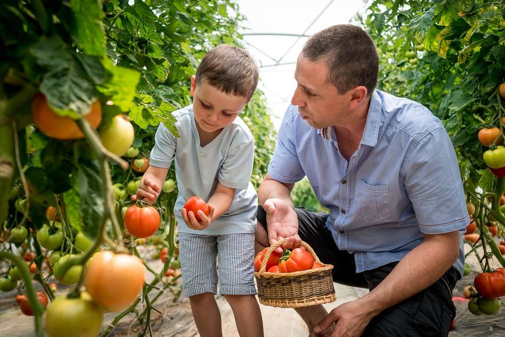 Les Cueillettes Chapeau de Paille
