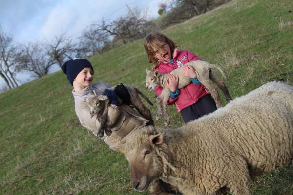 © Ferme des 3 oies