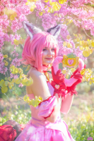 Nymphaea_gandivart_pictures