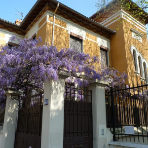 Festival des Glycines à montchat © Association Les Jardins de Montchat