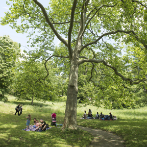 Parc Chabrières à Oullins-Pierre-Bénite © Dominik Fusina